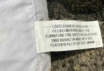 Photo of free Pair feather cushions (Old Town SG1) #3