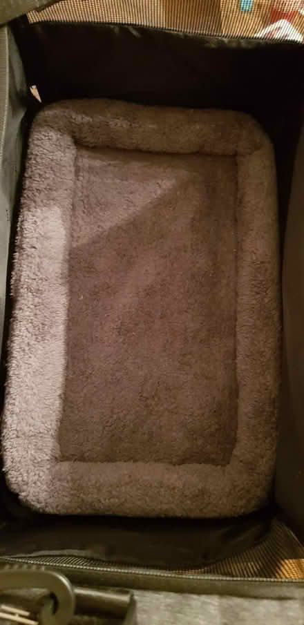 Photo of free Adult Cat Carrier (Cowden park FK10) #3
