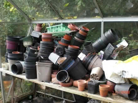 Photo of free Plant Pots (Mainstone SY9) #2