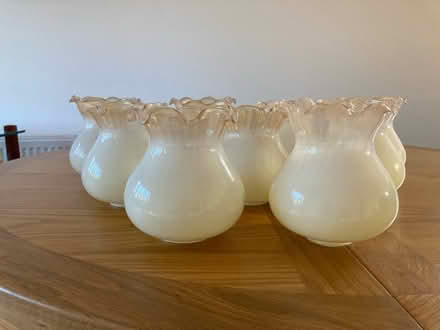 Photo of free Glass Lampshades (Normandy nr Guildford GU3) #1