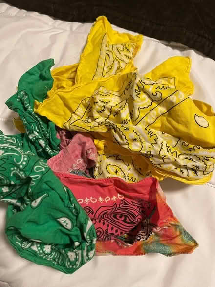 Photo of free Men’s clothes. Bandanas (Park slope Brooklyn 11215) #1