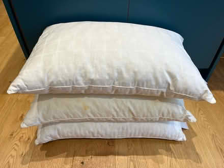 Photo of free Three John Lewis pillows (Dorking) #1