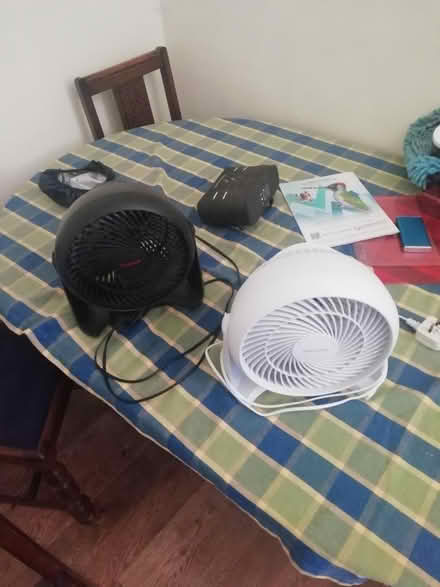 Photo of free fan (Sun In The Sands Roundabout SE3) #1