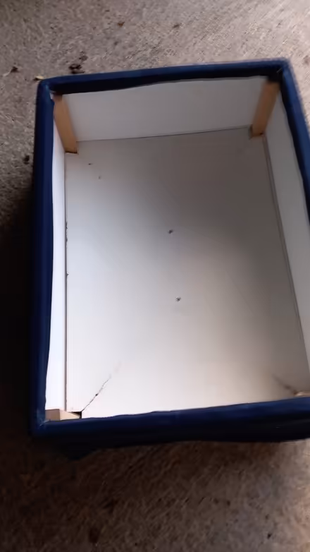 Photo of free Blue footstool and storage (Walkern SG2) #1