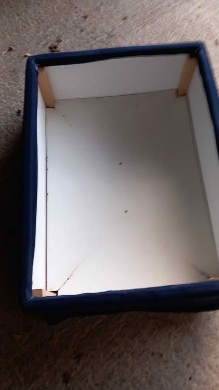 Photo of free Blue footstool and storage (Walkern SG2) #1