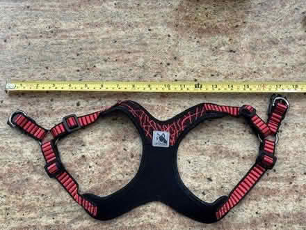 Photo of free Small Dog Harnesses & Hat (Waring Station 20874) #3