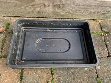 Photo of free Seed trays (Colchester CO1) #1