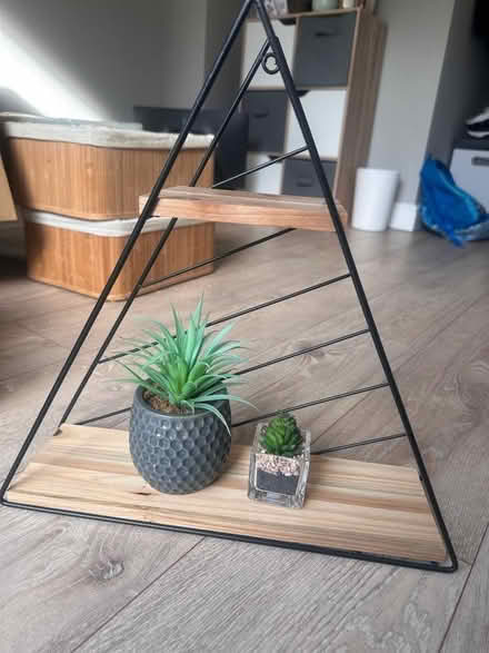 Photo of free Shelf and faux plants (IP2) #1