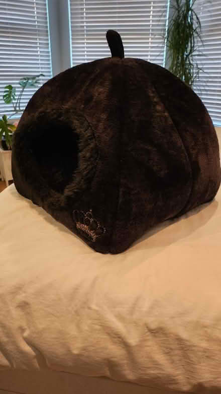 Photo of free Cat bed (SW16) #2