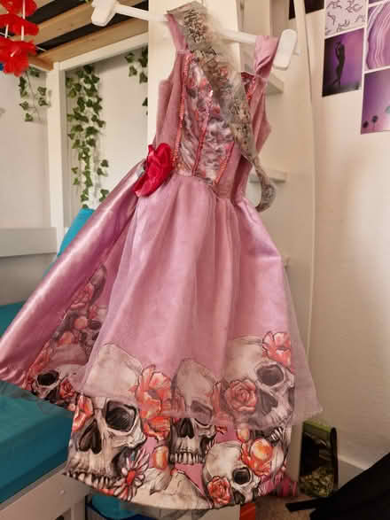 Photo of free 2 Halloween costumes - 5-6 years (Bromley/Bickley BR1) #2