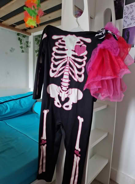 Photo of free 2 Halloween costumes - 5-6 years (Bromley/Bickley BR1) #1