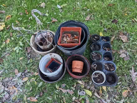 Photo of free More Pots out by the road (Ann Arbor-Wagner/Scio Church) #1