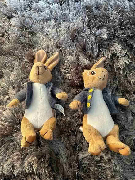 Photo of free Small Soft Toys (Goffs Oak EN7) #1