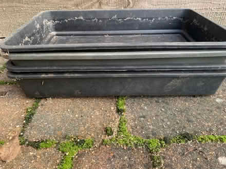 Photo of free Seed trays (Colchester CO1) #2