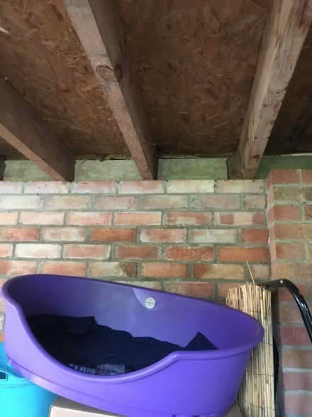 Photo of free Plastic dog bed (Blundeston NR32) #1