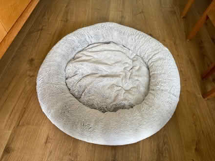 Photo of free Dog bed, medium (Staines-upon-Thames TW18) #1