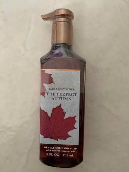 Photo of free Brand New Gel Hand Soap - Autumn (South Denton) #1