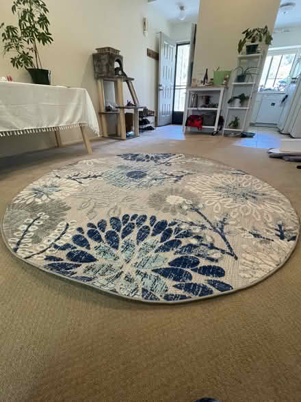 Photo of free Kellems Flatweave Blue Rug (San Venetia) #1