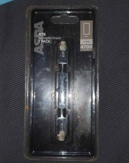 Photo of free Halogen light bulb (Johnstone) #2