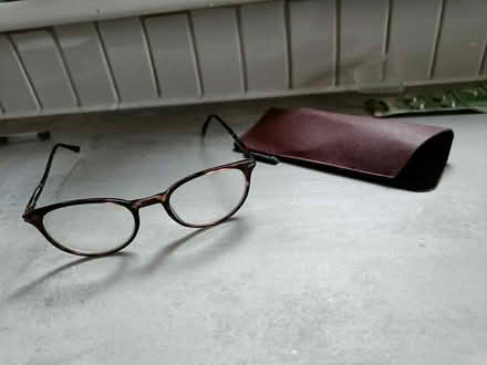 Photo of free +1.00 reading glasses with case (Maidenhead) #1