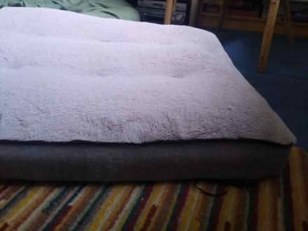 Photo of free Rectangular dog's bed (Canonmills EH3) #1