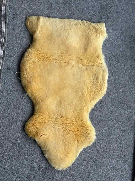 Photo of free Lambswool baby rug (Muswell Hill N10) #1