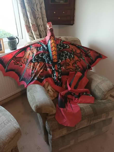 Photo of free Dragon kite (Y Felinheli LL56) #2