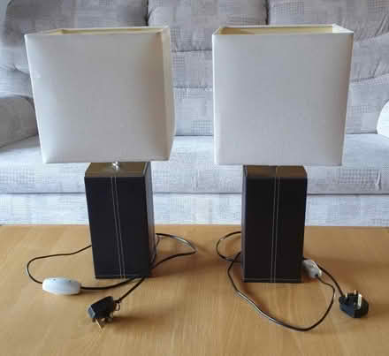 Photo of free Lamps (Wombourne WV5) #2
