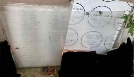 Photo of free Full set of polycarbonate sheets from a greenhouse (St Anne's on the Sea FY8) #1