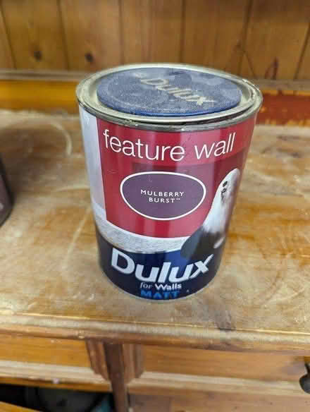 Photo of free Mulberry Burst Paint (L37) #1