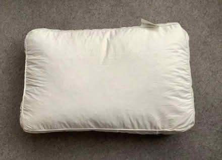 Photo of free Duck feather cushion pad (N11 Bounds Green) #1