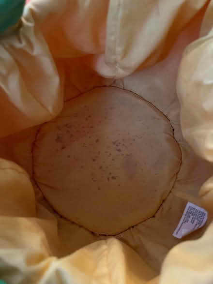 Photo of free Pumpkin trick-or-treat bags (South Forsyth county) #2