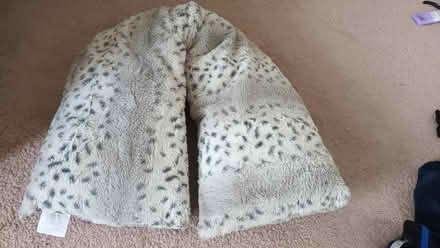 Photo of free V-shape pillow (Beeston NG9) #1