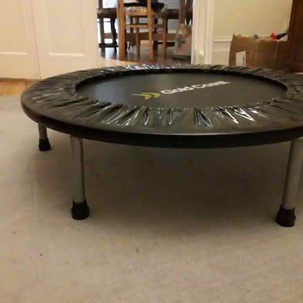Photo of free Exercise rebounder/mini trampoline (crouch end, N8) #3