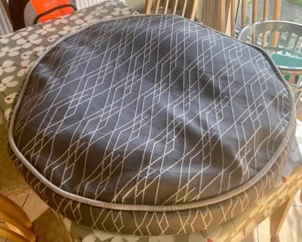 Photo of free Large dog bed (Grappenhall WA4) #1