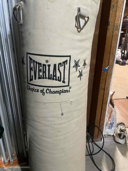 Photo of free Loved Heavy Bag (Morse and Karl Rd.) #1