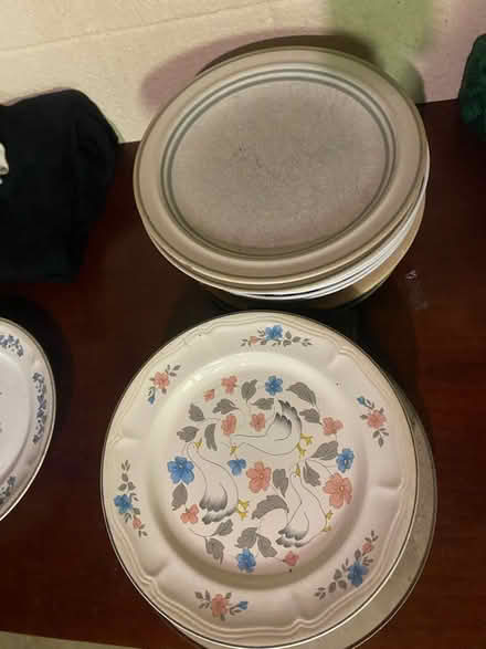 Photo of free Miscellaneous Plates (Morse and Karl Rd.) #1