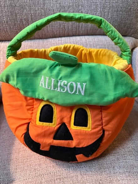 Photo of free Pumpkin trick-or-treat bags (South Forsyth county) #3
