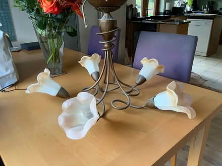 Photo of free Ceiling light (West Hill) #1