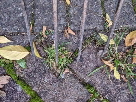Photo of free Garden fork very old (Cannon Park CV4) #2