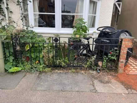 Photo of free Decorative iron fence and gate (Grandpont OX1) #1