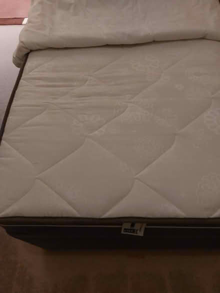 Photo of free Single mattress (Portsmouth PO1) #1