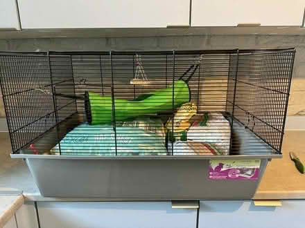 Photo of free Hamster cage bedding and food (HP15 Holmer Green) #1