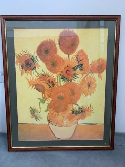 Photo of free Sunflower picture (Marshalswick AL1) #1