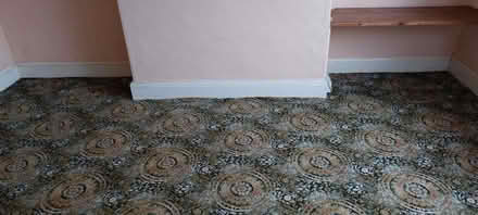 Photo of free Carpet - good quality, has to go by Thursday! (Kirkstall LS4) #1