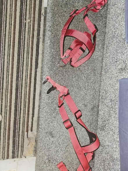 Photo of free Dog harnesses, 2 (Bampton, OX18) #1