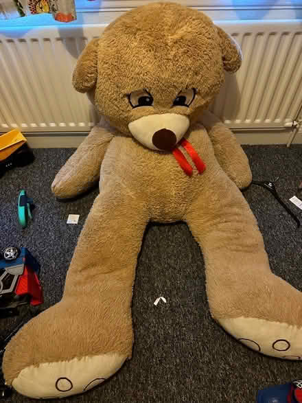 Photo of free Big teddy. dog & smoke free house (Walsall) #1