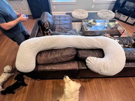 Photo of free Pregnancy Pillow (Alameda) (West side) #1