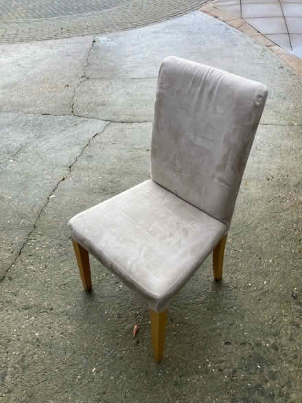 Photo of free 6 dining chairs (Ancaster) #1