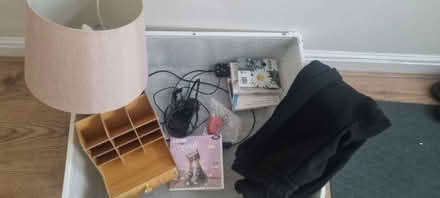 Photo of free 6 ikea wardrobe baskets, lamp, 1 x joggers, ink for printer,stationary (Stoneyford NG16) #1